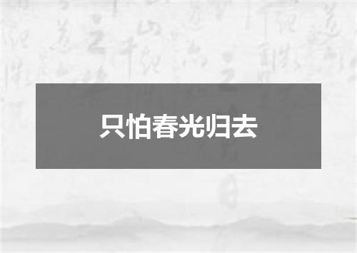 只怕春光归去