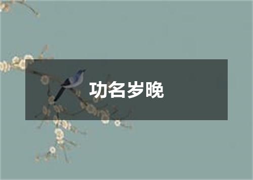 功名岁晚