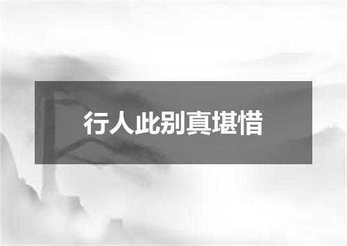 行人此别真堪惜