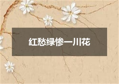 红愁绿惨一川花