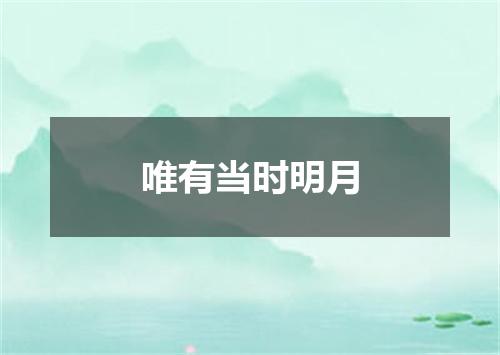唯有当时明月