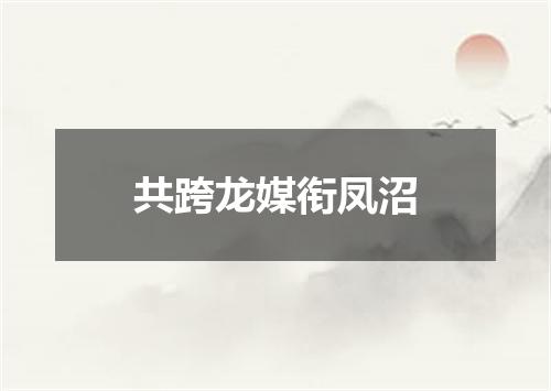 共跨龙媒衔凤沼