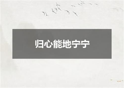 归心能地宁宁