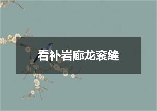 看补岩廊龙衮缝