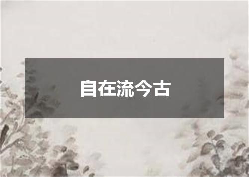 自在流今古