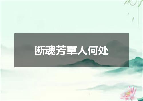 断魂芳草人何处