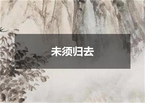 未须归去