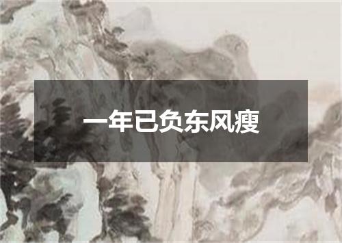 一年已负东风瘦