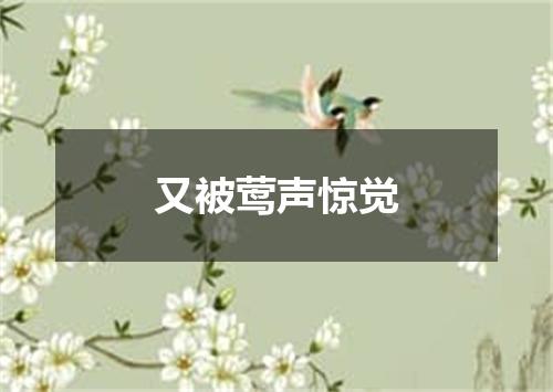又被莺声惊觉