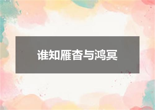 谁知雁杳与鸿冥