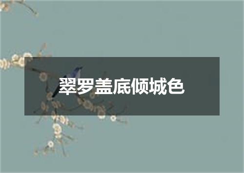 翠罗盖底倾城色