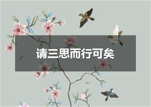 请三思而行可矣