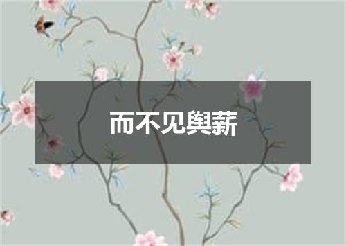 而不见舆薪