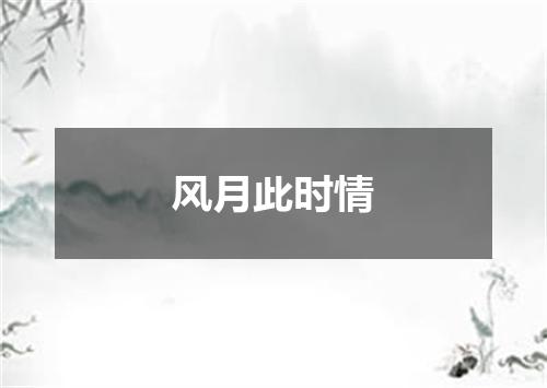 风月此时情