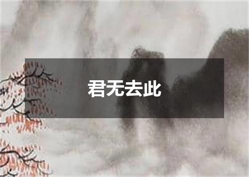 君无去此
