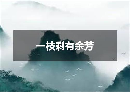 一枝剩有余芳