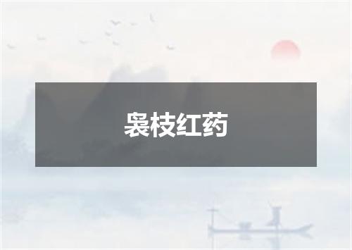 袅枝红药