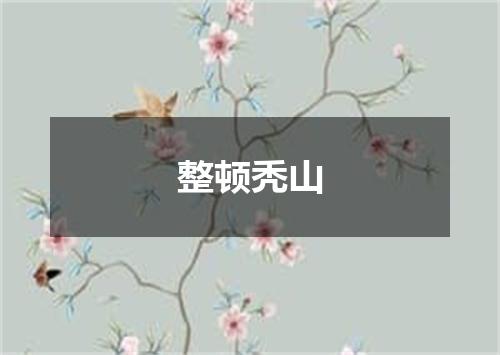 整顿秃山