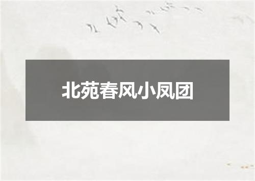 北苑春风小凤团