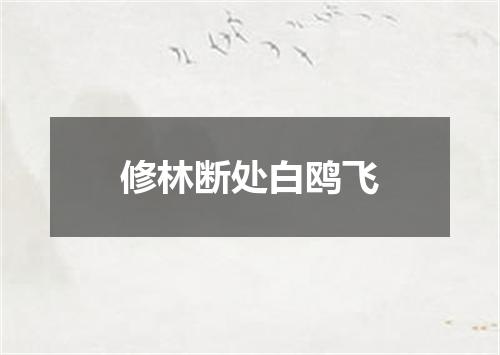修林断处白鸥飞
