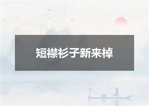 短襟衫子新来棹