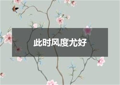此时风度尤好