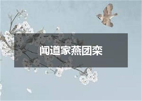 闻道家燕团栾