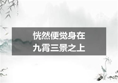 恍然便觉身在九霄三景之上