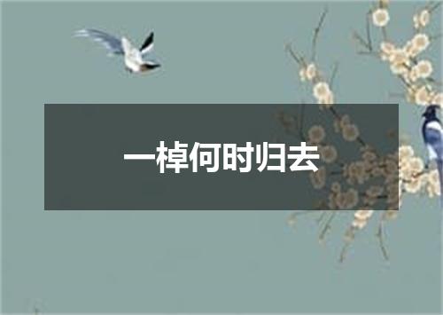 一棹何时归去