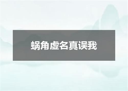 蜗角虚名真误我