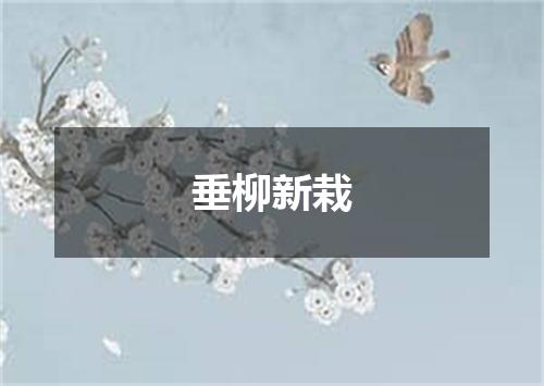 垂柳新栽