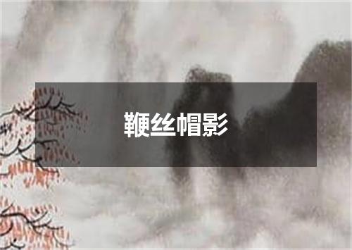 鞭丝帽影