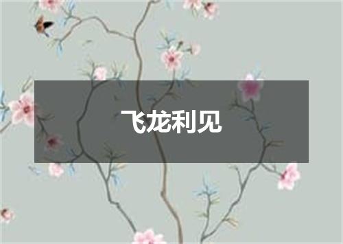 飞龙利见