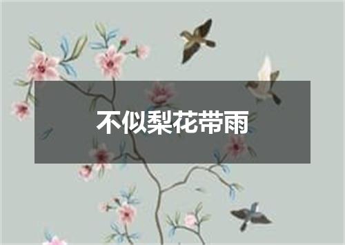 不似梨花带雨