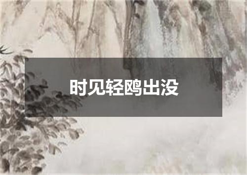 时见轻鸥出没