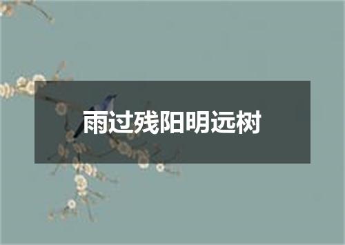 雨过残阳明远树