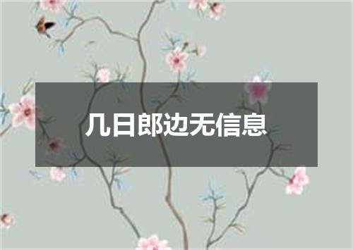 几日郎边无信息
