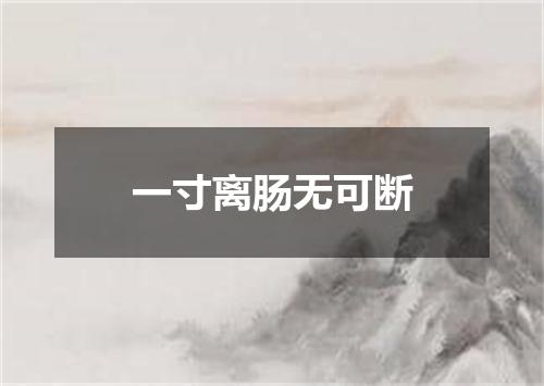 一寸离肠无可断