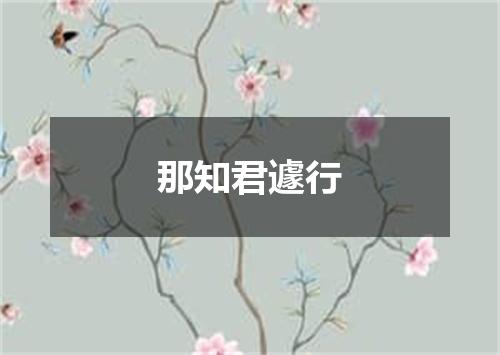 那知君遽行