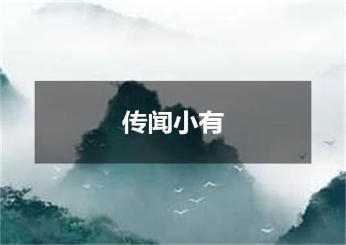 传闻小有