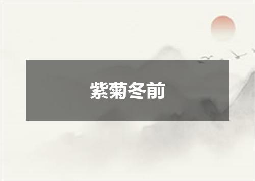 紫菊冬前
