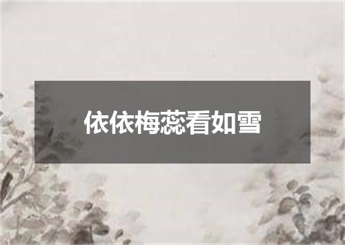 依依梅蕊看如雪
