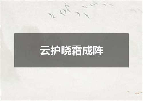 云护晓霜成阵