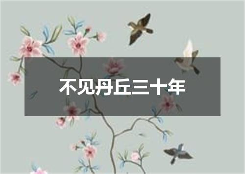 不见丹丘三十年