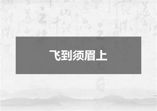 飞到须眉上