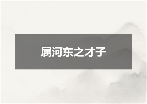 属河东之才子