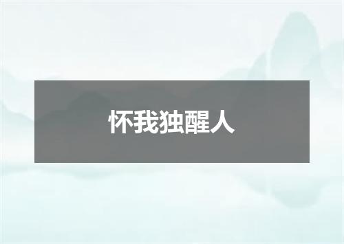 怀我独醒人