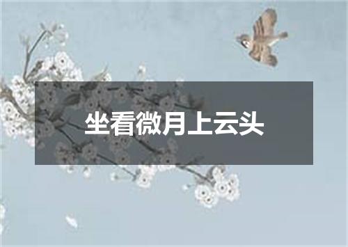 坐看微月上云头
