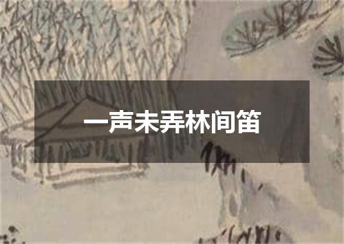 一声未弄林间笛