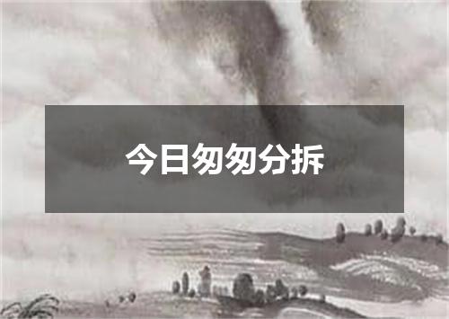 今日匆匆分拆
